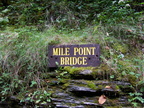 IMG 3955